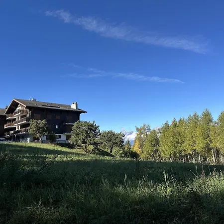 Les Mayens De L'ours - At The Foot Of Piste De L'ours' Slope! Apartament *