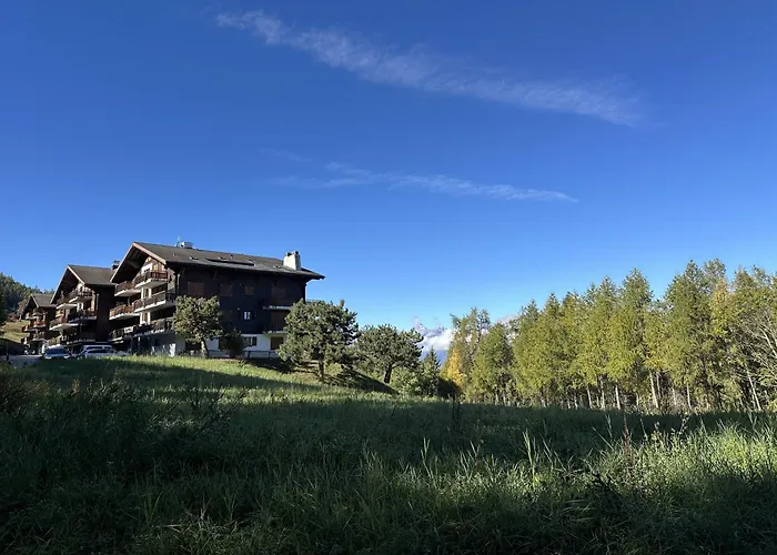 Les Mayens De L'ours - At The Foot Of Piste De L'ours' Slope! Appartamento *